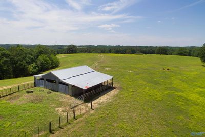 120.5 Acres County Road 974, Home with 0 bedrooms, 0 bathrooms and null parking in Logan AL | Image 2