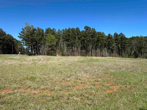 TBD 3.431 Ac. Cherokee Cove Dr, Jacksonville, TX, 75766 | Card Image