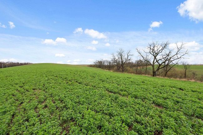36480 Bouska Rd, Home with 0 bedrooms, 0 bathrooms and null parking in Prairie Du Chien WI | Image 49