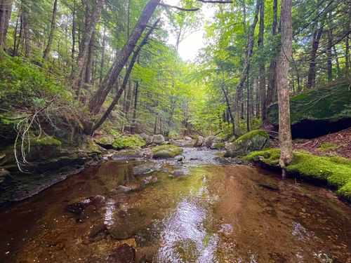 567 &amp; Lot 13-98 Wild Meadow Road, Grafton, NH, 03240 | Card Image