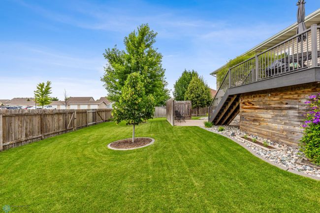 Back Yard | Image 43