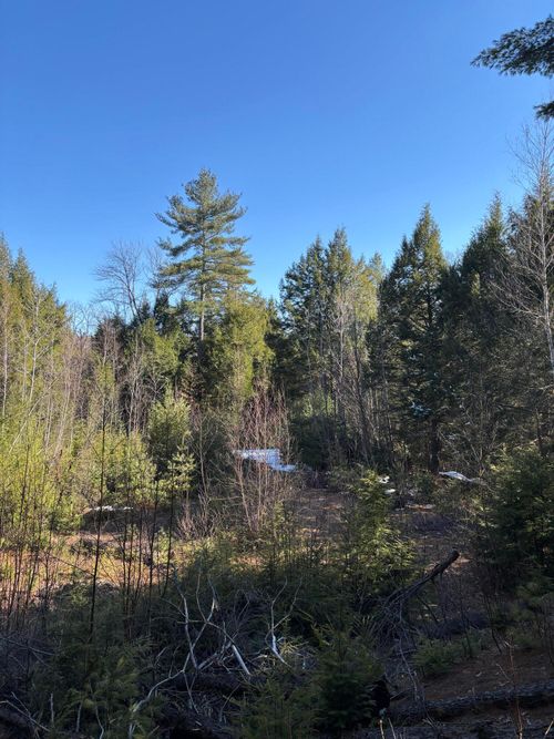 7 Bog Brook Loop, West Paris, ME, 04289 | Card Image