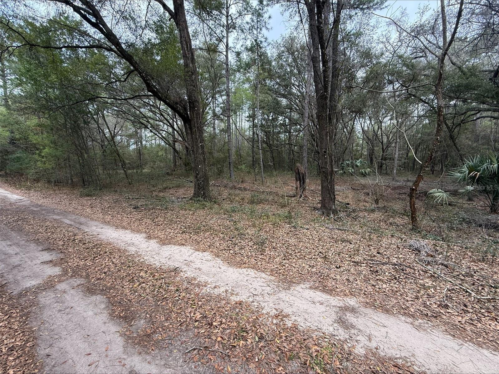 Land in OCALA 2
