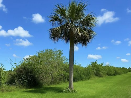 6617 Se 26th Trl, Okeechobee, FL, 34974-7432 | Card Image