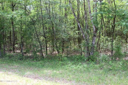 87.6 Acres Rousanville Road, Leakesville, MS, 39451 | Card Image