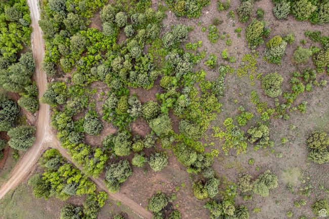 Aerial view of property and surrounding area | Image 4