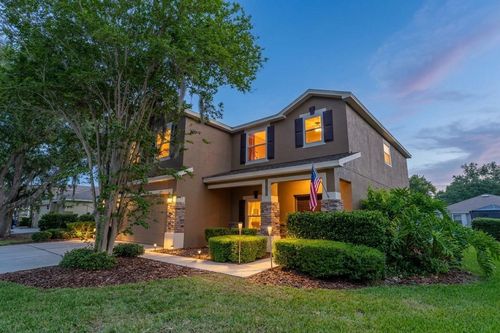 6302 Bridgevista Dr, LITHIA, FL, 33547-4871 | Card Image