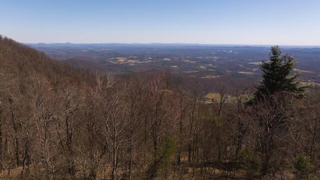 DJI_20250327121717_0748_D | Image 8