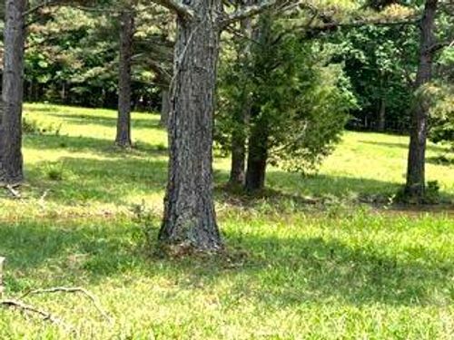 Pr Off County Road 164, Fremont, MO, 63941 | Card Image