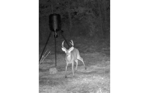 0 Sw Hike Lake Rd, MADISON, FL, 32340 | Card Image