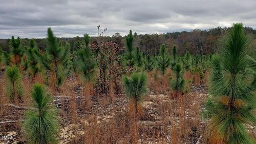 2769 Nc Highway 211, Eagle Springs, NC, 27242-8162 | Card Image