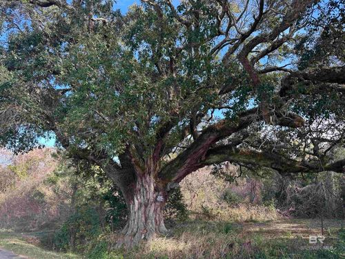 26702 County Road 54 W, Daphne, AL, 36526-8436 | Card Image