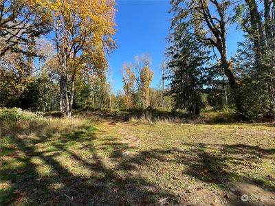 The entrance to your dream property. 5 level acres with towering maples and young conifers. Make your dream a reality. | Image 1