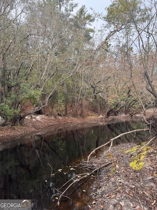 0 Highway 185, Home with 0 bedrooms, 0 bathrooms and null parking in Saint George GA | Image 50