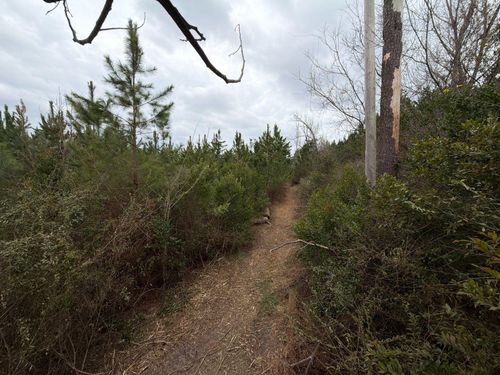 Bff Ii 4 J C Barefoot Rd, Patrick, SC, 29584-4092 | Card Image