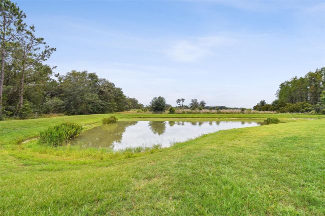 10701 Morning Dew Way, House other with 7 bedrooms, 6 bathrooms and null parking in TAMPA FL | Image 45