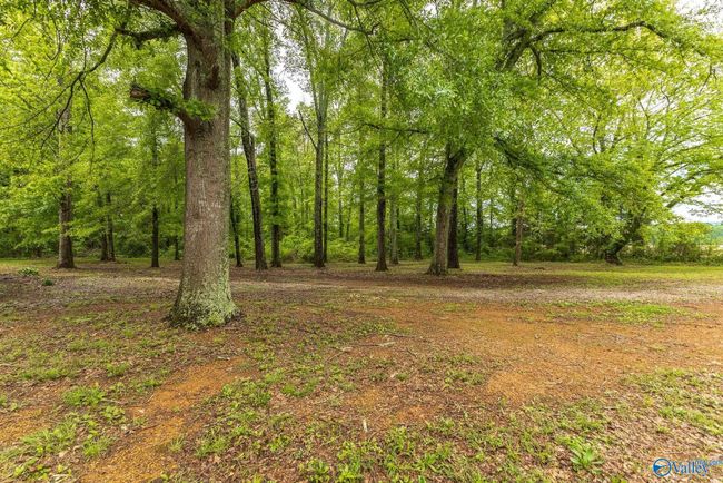 3780 Old Highway 431, House other with 3 bedrooms, 2 bathrooms and null parking in Owens Cross Roads AL | Image 27