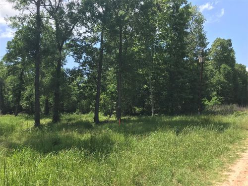 TBD Arrowhead Trl, Livingston, TX, 77351 | Card Image