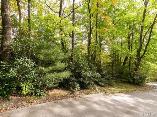 000 Trillium Ct, Sapphire, NC, 28774 | Card Image