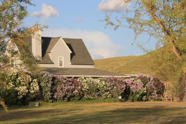 821 Old State Highway 26, House other with 3 bedrooms, 3 bathrooms and null parking in Lacrosse WA | Image 48