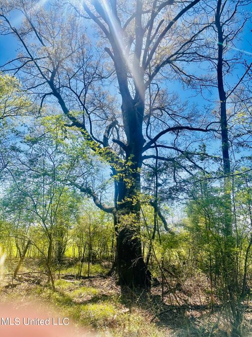 00 Little Rock Rd, Crystal Springs, MS, 39059 | Card Image
