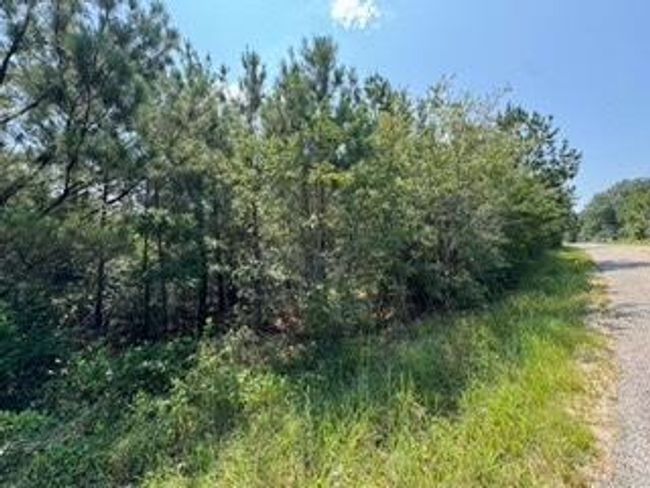 5 | Image 6