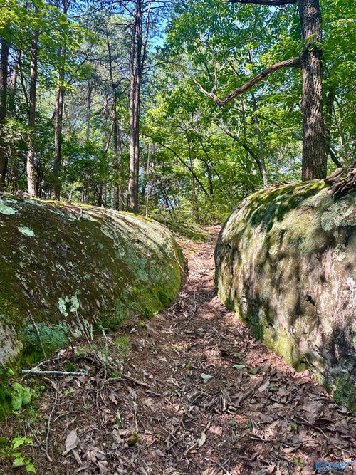 16 +/- acres Road 934, Mentone, AL, 35984 | Card Image