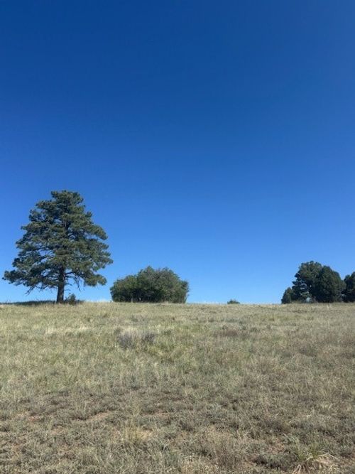 9 1796 (Deer Trail), Chama, NM, 87520 | Card Image