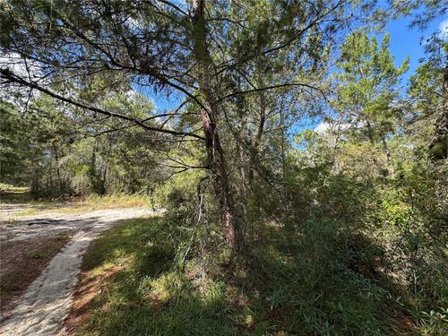 TBD Ne 138th Ave, WILLISTON, FL, 32696 | Card Image
