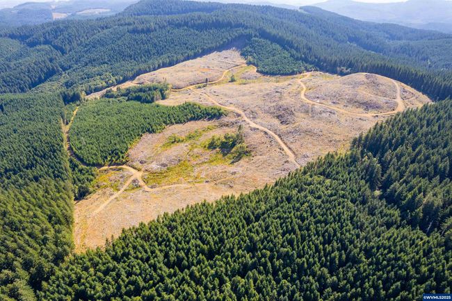 0 Bald Mountain Rd, Home with 0 bedrooms, 0 bathrooms and null parking in Beaver OR | Image 13