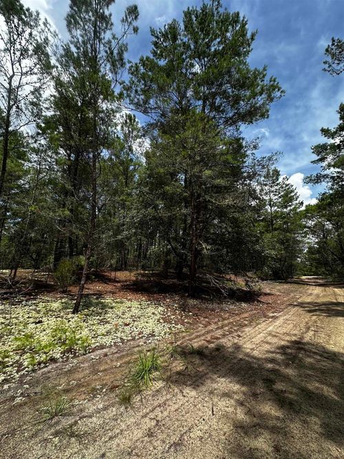 402 Deeda St, Florahome, FL, 32140 | Card Image