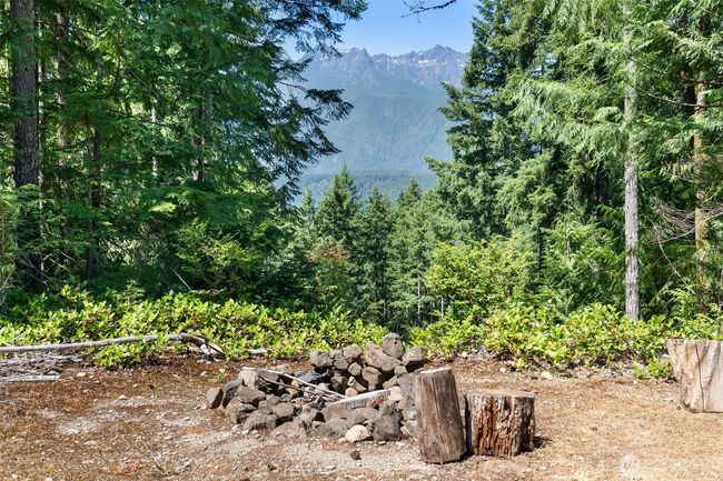 5154 N Lake Cushman Rd, Home with 0 bedrooms, 0 bathrooms and null parking in Hoodsport WA | Image 4