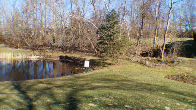 Pond view | Image 47