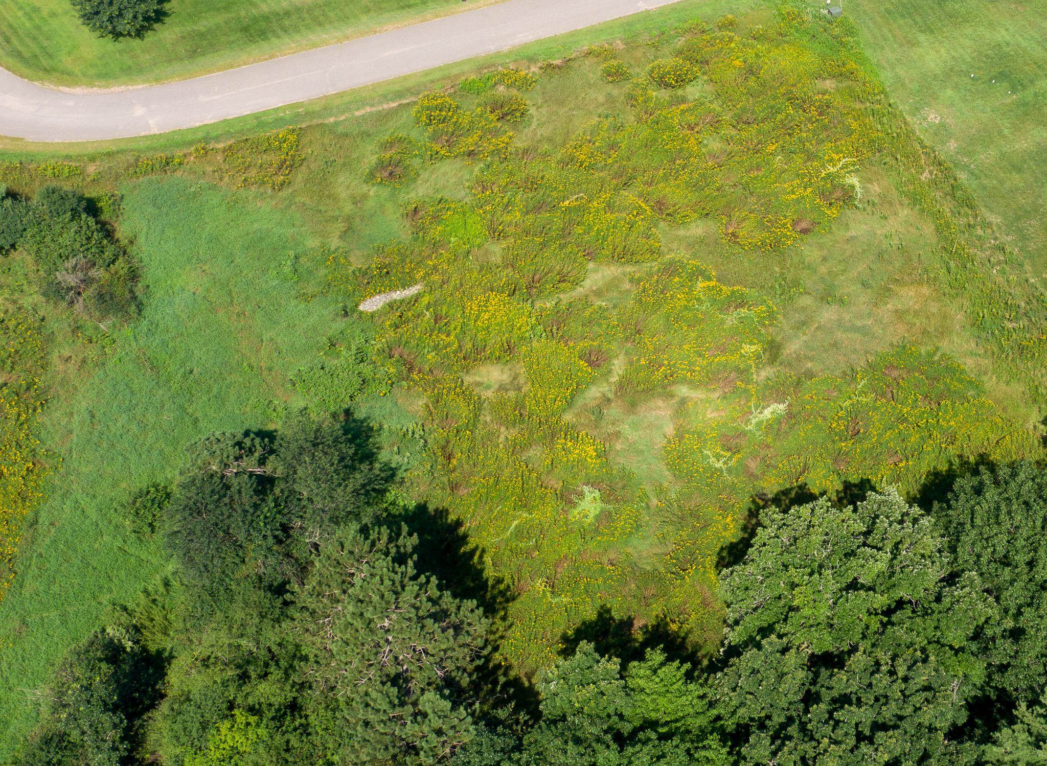 Land in Scott 2