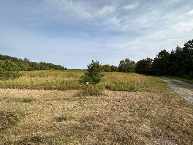 15 Oakhill Rd N, Home with 0 bedrooms, 0 bathrooms and null parking in Scandia MN | Image 11