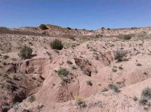 TBD 210-06-005 & 206-51-136, Chambers, AZ, 86502 | Card Image