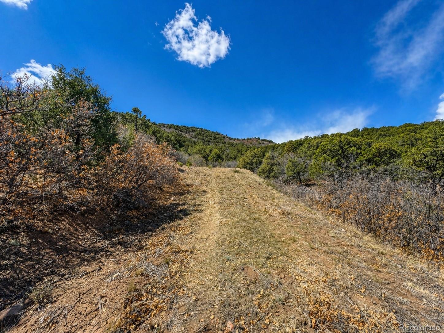 Land in Texas Creek 2