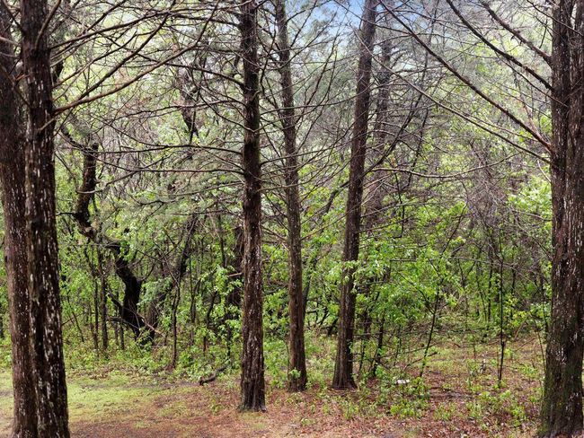 7.8 acres of fun | Image 15