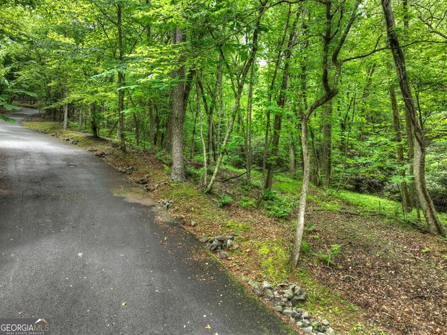 LOT 68 Toccoa Taquohee Trl, Home with 0 bedrooms, 0 bathrooms and null parking in Blue Ridge GA | Image 18