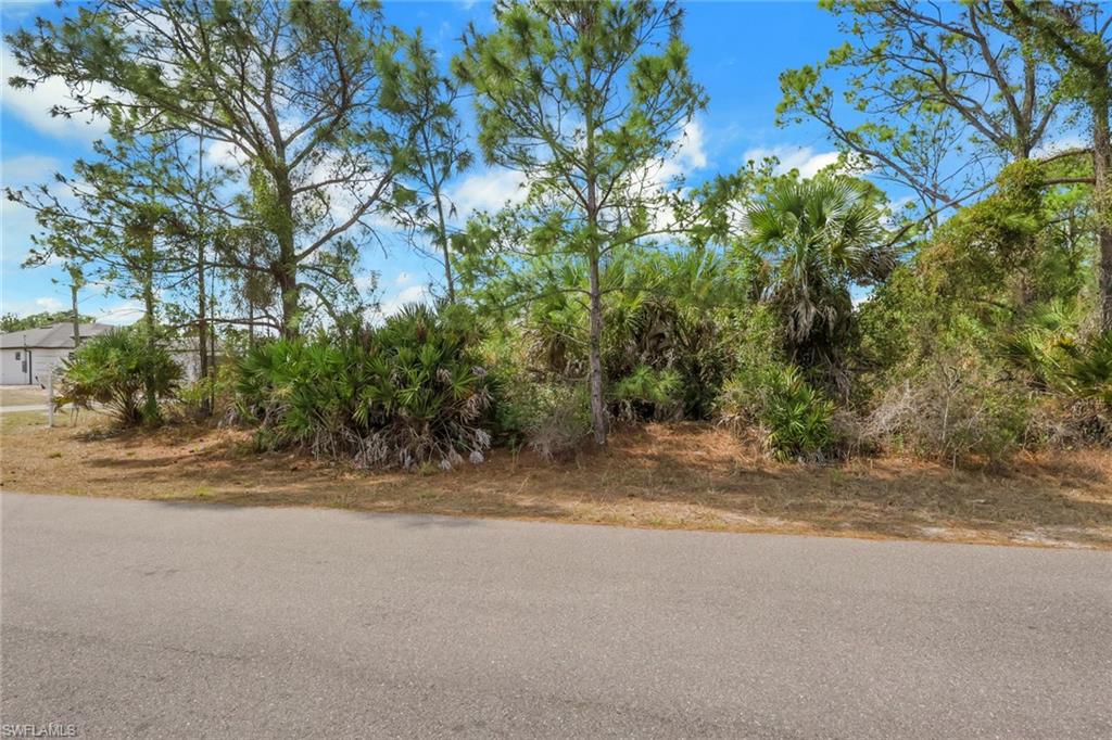Land in LEHIGH ACRES 3