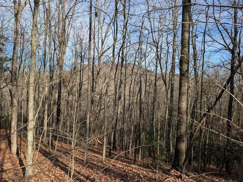 Lot 20 Wilderness Creek Way, Murphy, NC, 28906-3124 | Card Image
