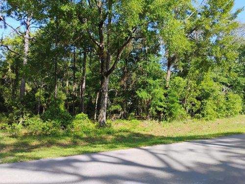0 Ne 11th St, Williston, FL, 32696 | Card Image