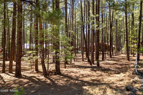 8510 Alchesay Dr, Pinetop, AZ, 85935-8391 | Card Image