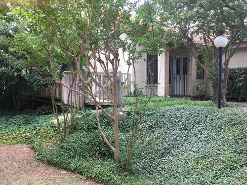 4308 Laguna Dr, Dallas, TX, 75287-4013 | Card Image