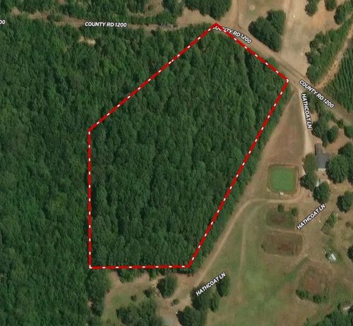 000 County Road 1200, Daingerfield, TX, 75638 | Card Image