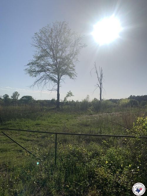tract-3-4.94 Acres Mount Olive, Texarkana, AR, 71854 | Card Image