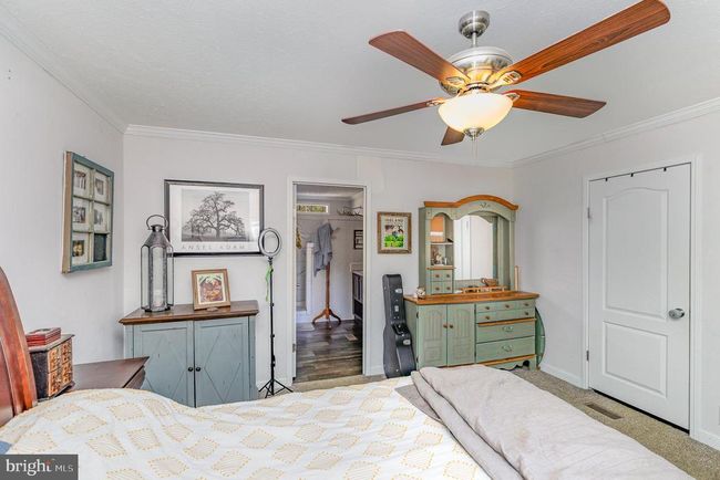 14569 Dyke Rd, Home with 3 bedrooms, 2 bathrooms and null parking in STANARDSVILLE VA | Image 17