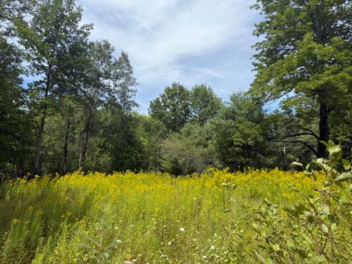 14 Dead River Road, Bowdoin, ME, 04287 | Card Image