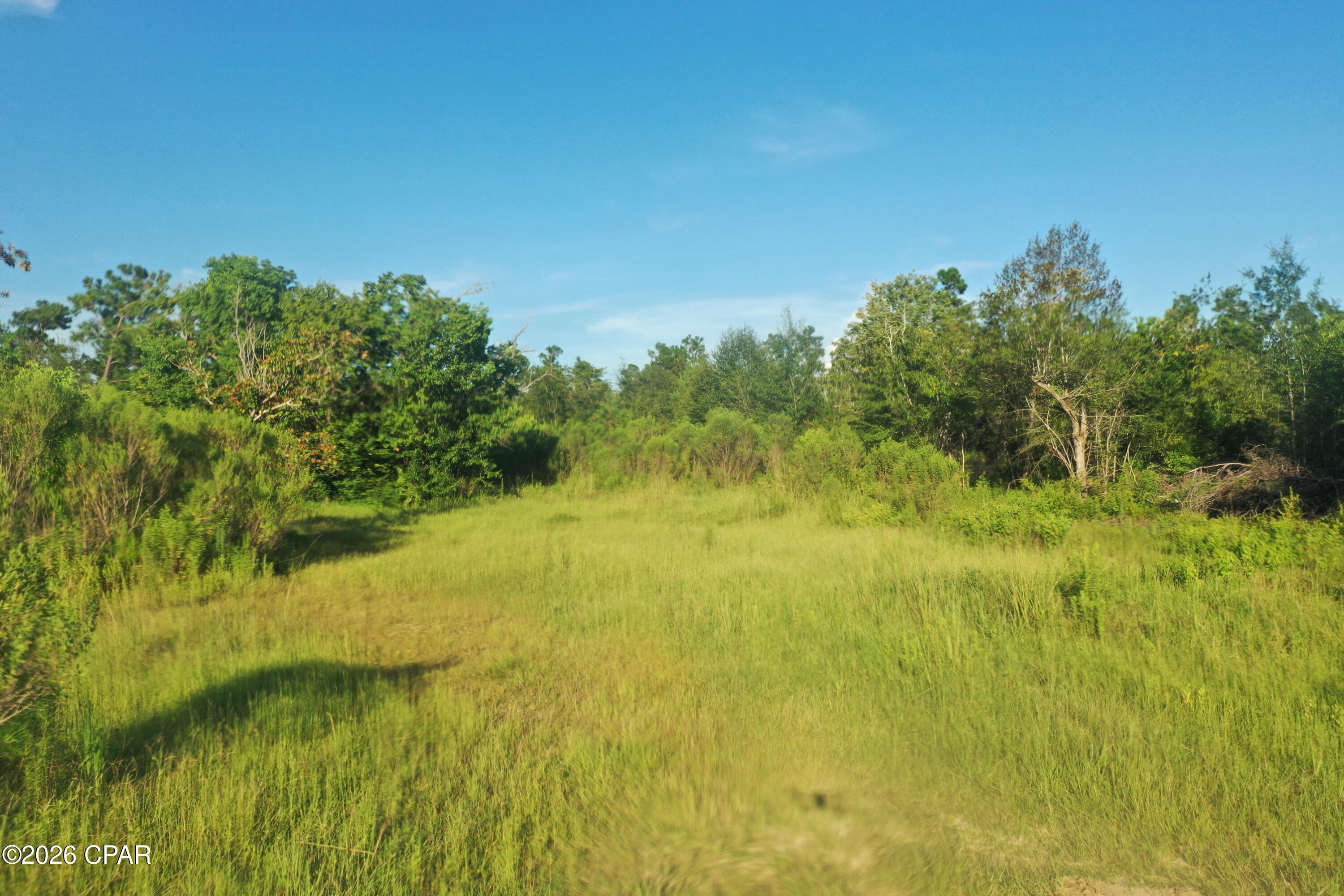 Land in Panama City 3