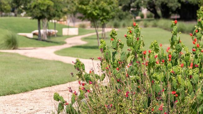 View of community with a lawn | Image 11